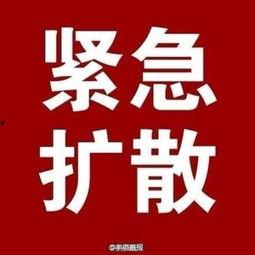 新精华官方爆料最新消息,最新消息揭秘神秘功能与升级亮点  第2张